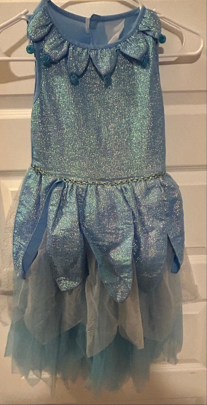 Princess Expressions Cinderella Costume dress